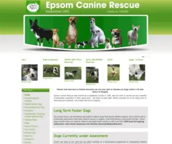 Epsomcaninerescue.co.uk(Epsom Canine Rescue) Screenshot