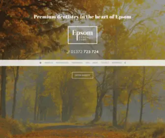 Epsomdentalcare.co.uk(Epsom Dental Care) Screenshot