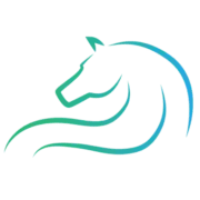 Equiciety.com Favicon