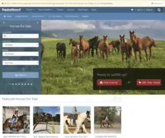 Equinenow.com(Horses for Sale) Screenshot