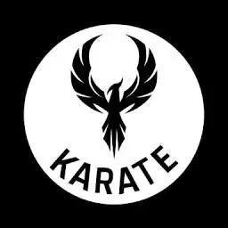 EquipefenixDekarate.com.br Favicon