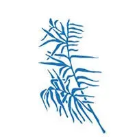 Eratomykonos.com Favicon