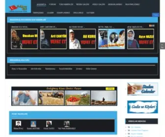 Erdogmusnet.com(ANASAYFA) Screenshot