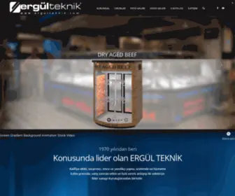 Ergulteknik.com(Ergül) Screenshot