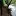 Erickschonfeld.com Favicon