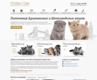 Eridancats.ru(Продажа Британских котят) Screenshot