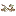 Eriebonebroth.com Favicon