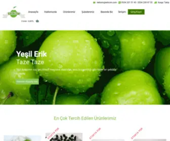 Erikcim.com(Yeşil Erik) Screenshot