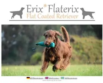 Erix.de(Erix Flat Coated Retriever) Screenshot