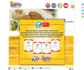 Erpilic.com.tr(Erpiliç) Screenshot