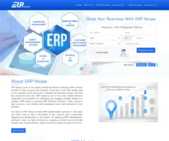 Erpninjas.com(ERP Ninjas) Screenshot