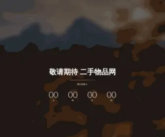 Ershouwupin.com(内部测试系统) Screenshot