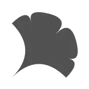 Ervinbarta.com Favicon