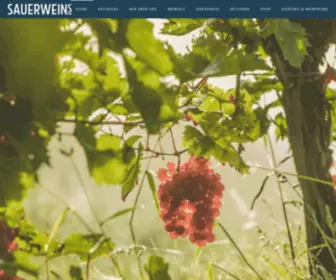 Erwin-Sauerwein.de(SAUERWEINs GbR Weingut) Screenshot