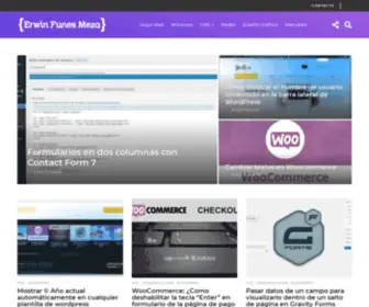Erwinfunes.com(Erwin Funes Meza) Screenshot