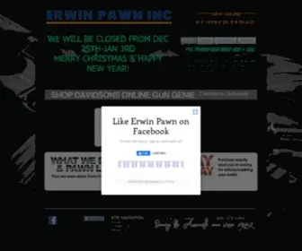 Erwinpawninc.com(Erwin Pawn Inc) Screenshot