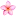 Escapadezanzibar.com Favicon