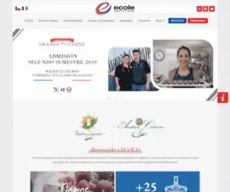 Escuelaculinaria.cl(Escuela Culinaria Francesa) Screenshot