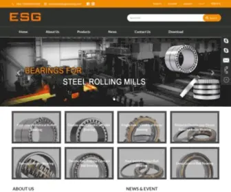 Esgbearing.com(ESG Bearing) Screenshot