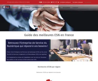 Esnenfrance.com(Top 50 offres d'emploi en informatique disponibles) Screenshot