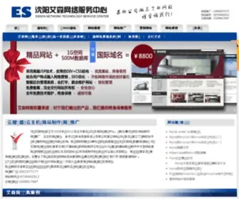 ESNSC.com(沈阳艾森网络服务中心) Screenshot