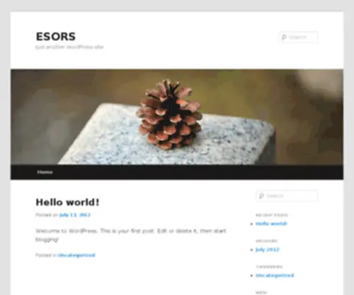 Esors.com(Shop for over 300) Screenshot