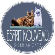 Espritnouveau-Siberiancat.com Favicon