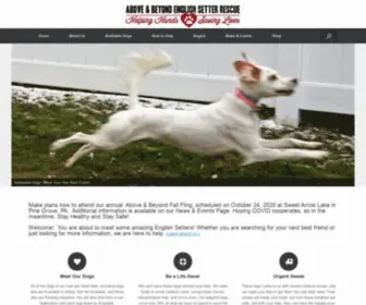 Esrescue.org(Above and Beyond English Setter Rescue's goal) Screenshot