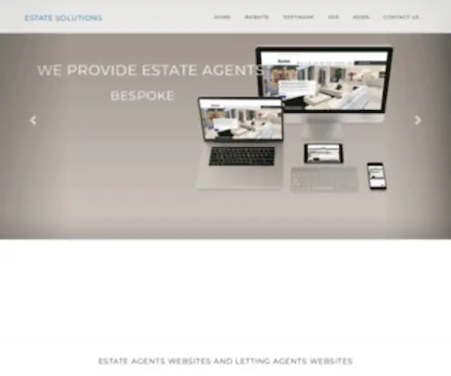 Estatesolutions.co.uk(Estate agents website design) Screenshot