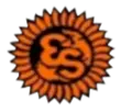 Estrelasolar.com Favicon