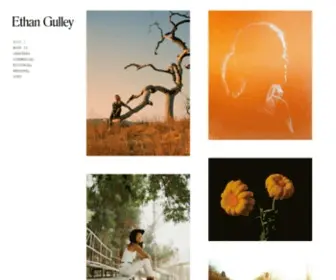 Ethangulley.com(Ethan Gulley) Screenshot