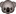 Ethdownunder.com Favicon