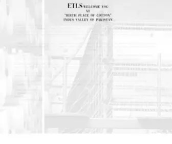 ETLS-Consultants.com(International Textile Consultancy Services) Screenshot