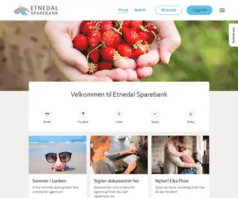 Etnedalsparebank.no(Etnedal Sparebank) Screenshot