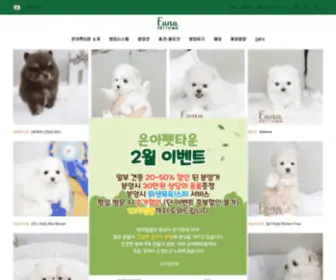 Eunapettown.com(일산애견분양) Screenshot