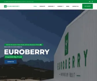 Euroberry.co.za(Frozen Fruit And Fruit Products Supplier) Screenshot