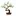 Eurobonsai.es Favicon