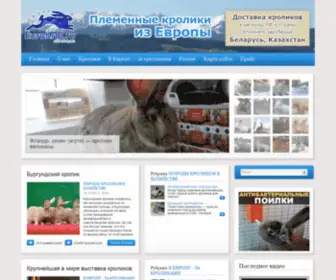 Eurokrol.ru(Племенные кролики из Европы) Screenshot
