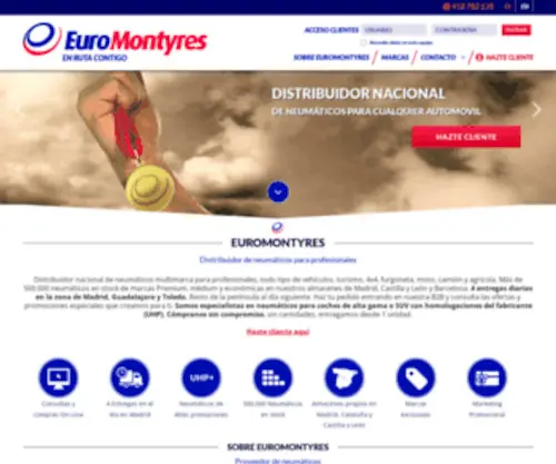 Euromontyres.com(Distribuidor de neumáticos a profesionales) Screenshot