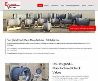 Europavalve.com(Non Slam Check Valves) Screenshot