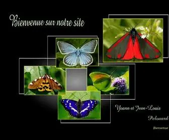 European-Lepidopteres.fr(European L) Screenshot