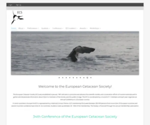 Europeancetaceansociety.eu(European Cetacean Society) Screenshot