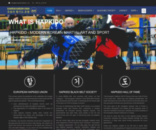 Europeanhapkido.com(European Hapkido Union) Screenshot