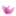 Europerfumes.es Favicon