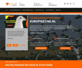 Europigeons.nl(Racing pigeons for sale) Screenshot