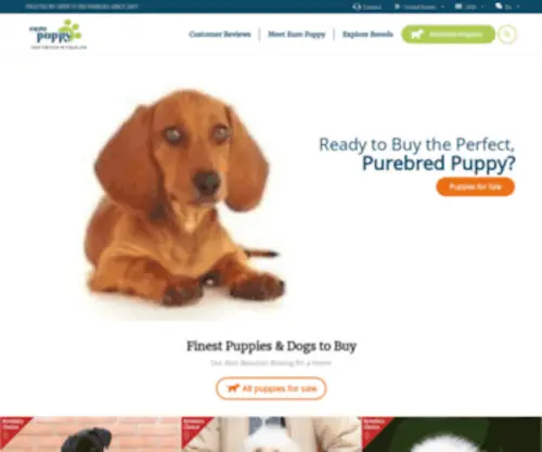Europuppy.com(Buy a Puppy or a Dog Online from Europe) Screenshot