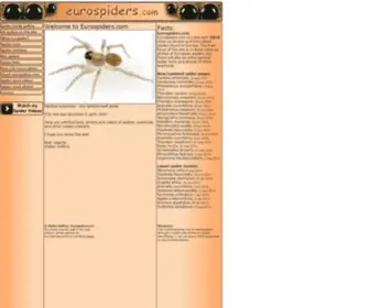 Eurospiders.com(European spider photos and facts) Screenshot