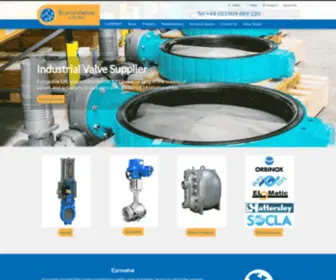 Eurovalve.co.uk(Industrial Valves &amp; Actuators Online) Screenshot