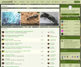 Eusozial.de(Eusozialität) Screenshot