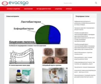 Evacsgo.ru Screenshot